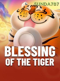 Blessing Of The Tiger game cover