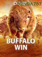 Buffalo Win game cover