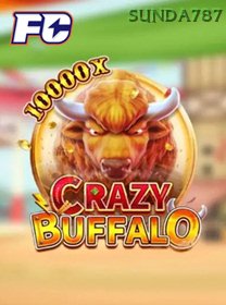 Crazy Buffalo game cover