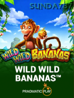 Wild Wild Bananas game cover